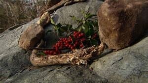 mi-ns-cline-wreath