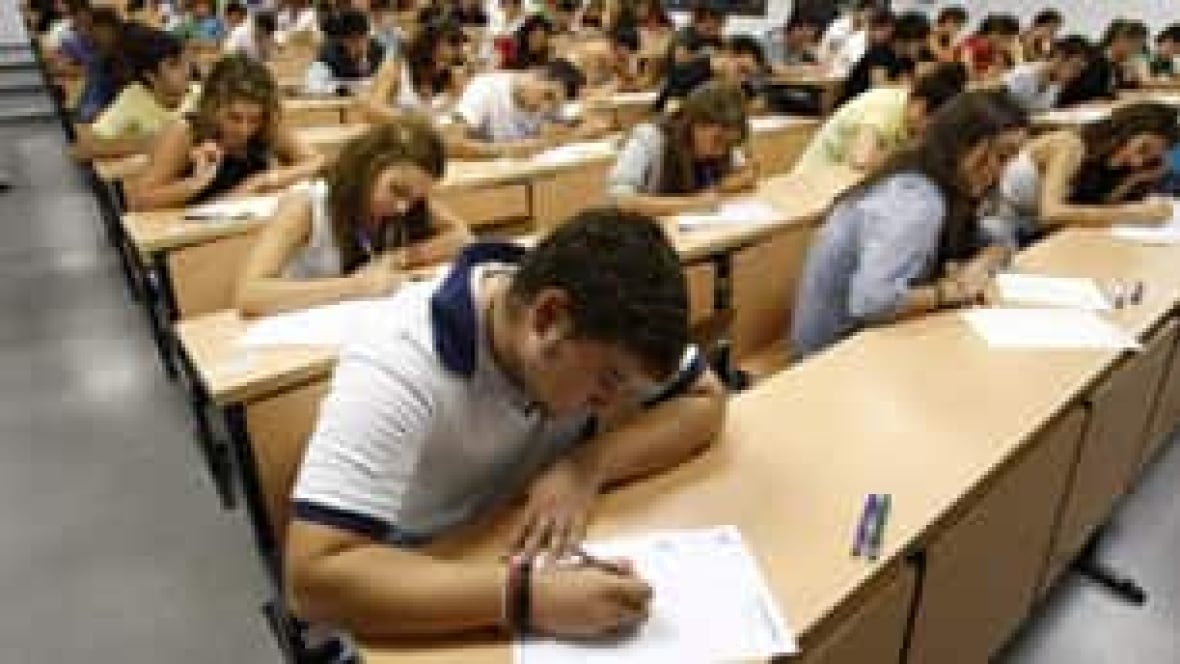 Essay on career plans after college