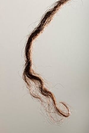 sm-220-aboriginal-australian-hair-rasmussen2hr