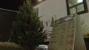 mi-tree-sales-ymca