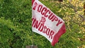 wdr-220-occupy-flag