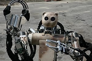mi-rcw-bear-11-300-cbc