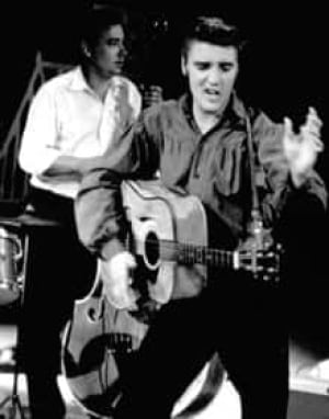 elvis-cp-7715457-220