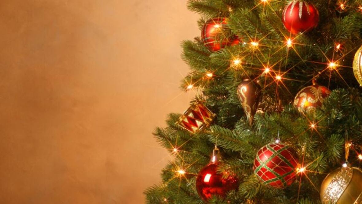 christmas trees can boost allergy causing moulds new christmas trees can boost allergy causing moulds new