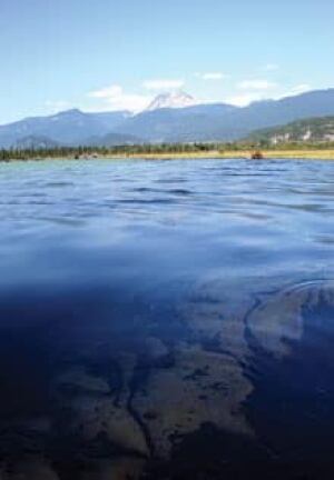mi-oilspill-1728765