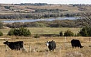 si-sandhills-160-cp-9600332