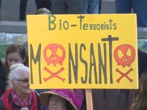 Hundreds of people protested against Monsanto, a leading producer of genetically engineered seed.