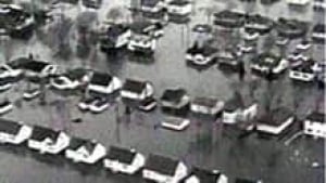 ip-flood-50suntitled