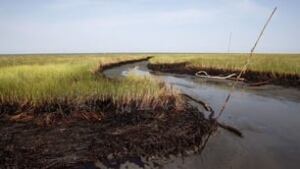 tp-bp-oil-marsh-cp-9136623