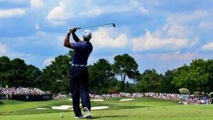 woods-tiger-110812