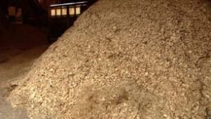 ns-wood-shavings