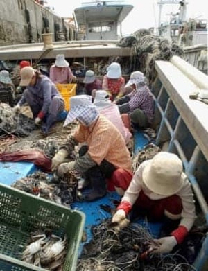korea-crabfishers-cp1184336