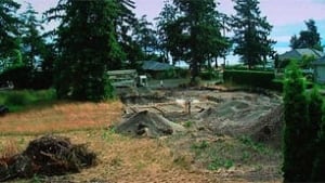 bc-100419-digging-bill2