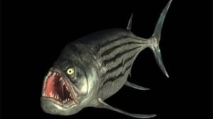 xiphactinus