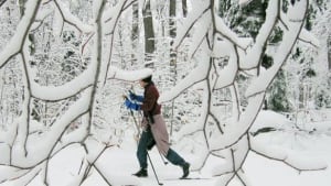 tp-ott-ski-cp-571744