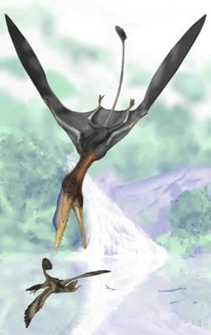 Darwinopterus-flying