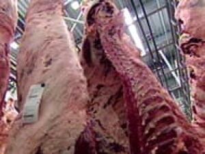 pe-top-beefhanging