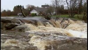 ns-more-flooding