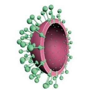 vlp-medicago101124