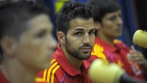 fabregas-cesc-100526