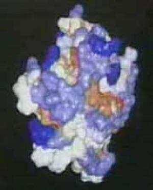 prion_graphic
