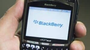 tp-blackberry-cp-306-287392