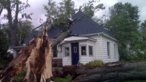 tp-wdr-leamington-house-tree