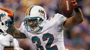 dolphins306