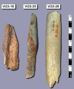 neanderthal-bones