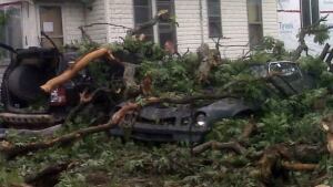wdr-banner-crushed-car-house