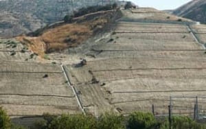 100921-fossil-trove-site-ap-9434500-320px