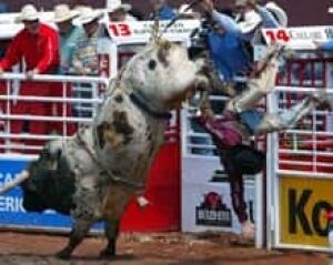 stampede-cp-6061653