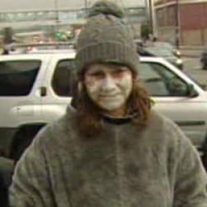 nl-seal-pie-2