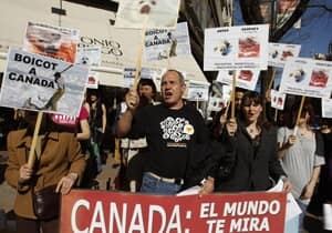 seal-hunt-protest-rtr2ckr0