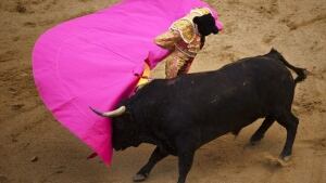 w-bullfight-cp-9111061