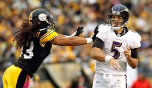 ravens586