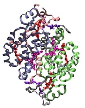 light-protein-model