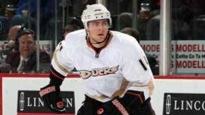 306-lupul-ahl