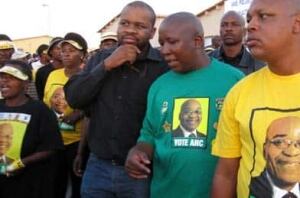 Malema-392