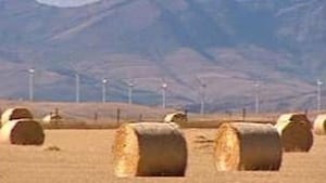 tp-cgy-wind-farm