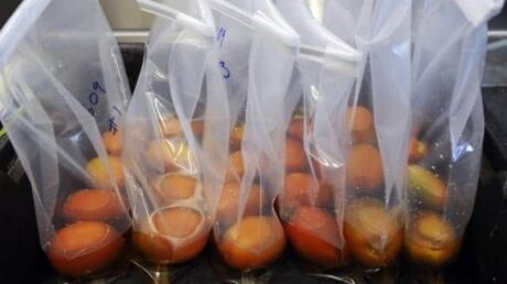 food-safety-cp-584