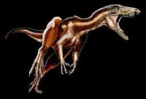 dinosaur-tawa-full