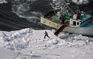 seal-hunt-sized