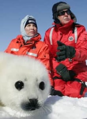 mccartney-seal-cp-9602976.jpg