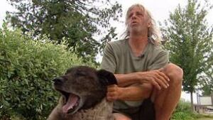 bc-080723-homeless-dog2