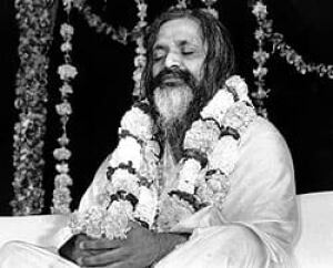 maharishi-250-4297547