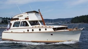 full-ssminnow-cp-5506770