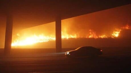cali-fire-cp-w5849407