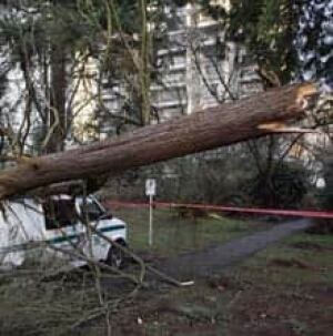 bc-windstorm_cp_11387899