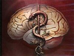 brain_med